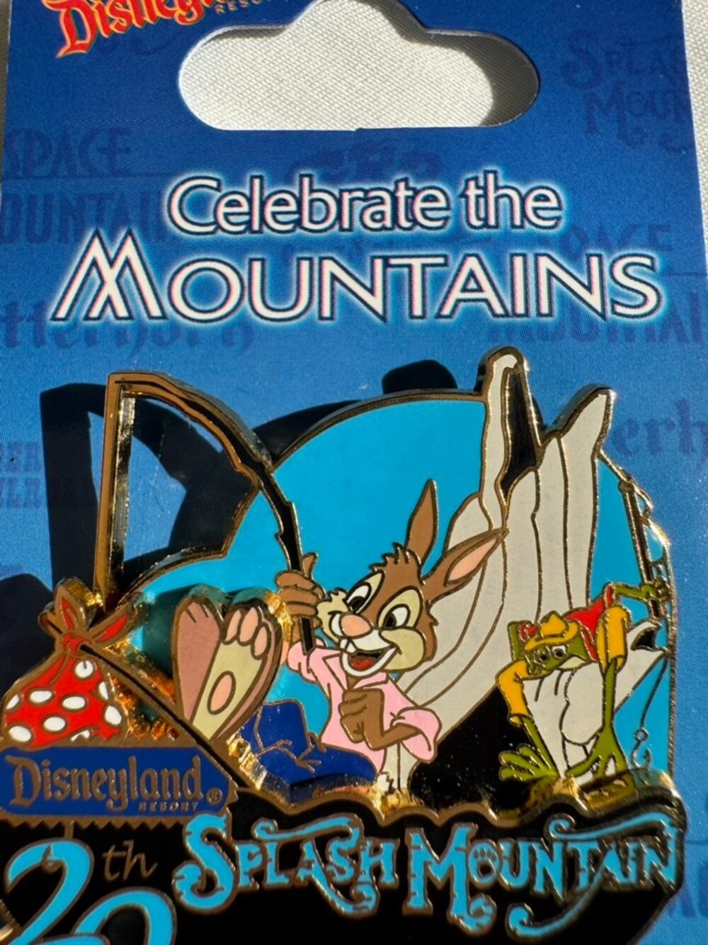 NWT Disneyland Celebrate the Mountains Splash Mountain Brer Rabbit Brer Frog Pin - Picture 2 of 15